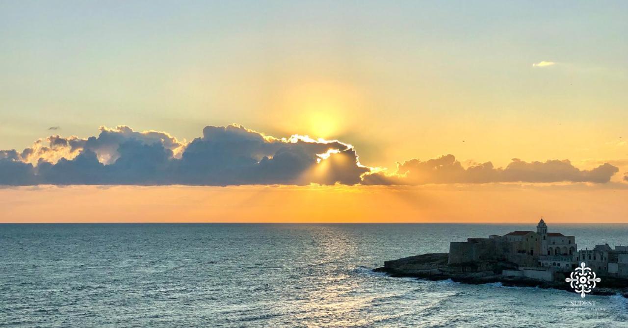 Infinito - Attico Sul Mare Apartment Vieste Luaran gambar